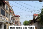 BÁN 45M2 ĐẤT BẮC HỒNG, ĐÔNG ANH -phù hợp KINH DOANH ĐÔNG ĐÚC-ĐƯỜNG TRỤC CHÍNH THÔNG Ô TÔ TRÁNH